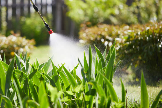 24/7 Emergency Wasp Removal experts in Goulding, FL