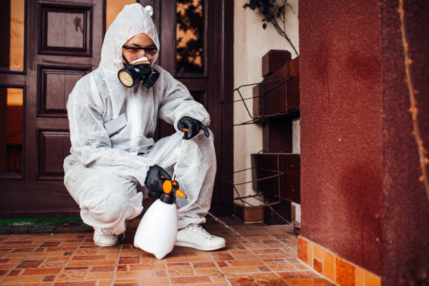 Reliable Wasp Removal contractor in Goulding, FL by Show Me Pest Control