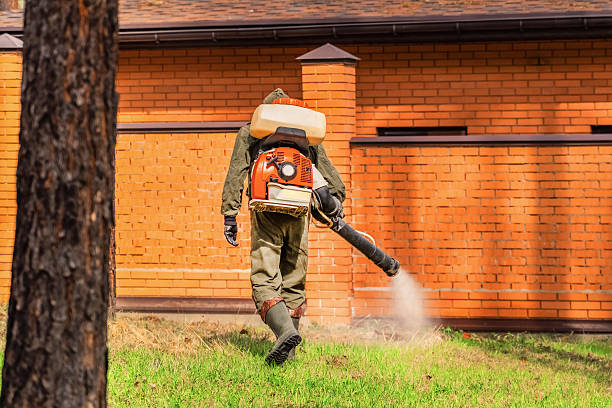 Top rated local Wasp Removal specialists in Goulding, FL